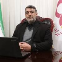 محمدرضا امیراحمدی
